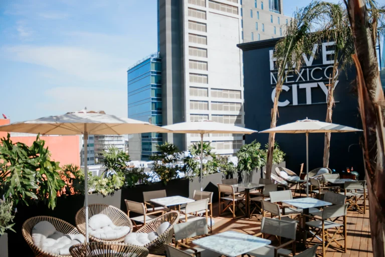 Bienvenido a Hive México City: Un Refugio Urbano que Combina Estilo y Comodidad